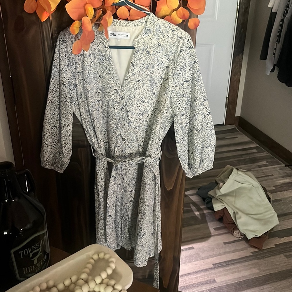Zara dress